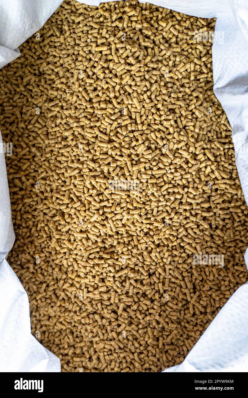 primo piano di mangime per pollame in un sacchetto su sfondo bianco. Alimentazione di pollame per alimentazione di pollo. Galline mangimi pellet Foto Stock