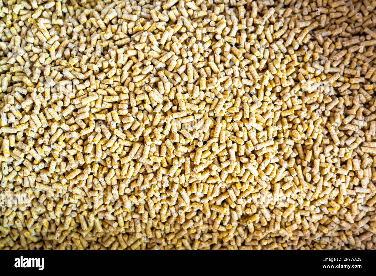 Pellet di alimentazione di pollo, primo piano della struttura granulata dell'alimento animale Foto Stock