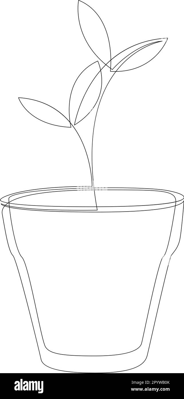 Continuo una linea che traccia di una pianta piccola in una pentola. Belle foglie isolate su sfondo bianco. Illustrazione vettoriale Illustrazione Vettoriale