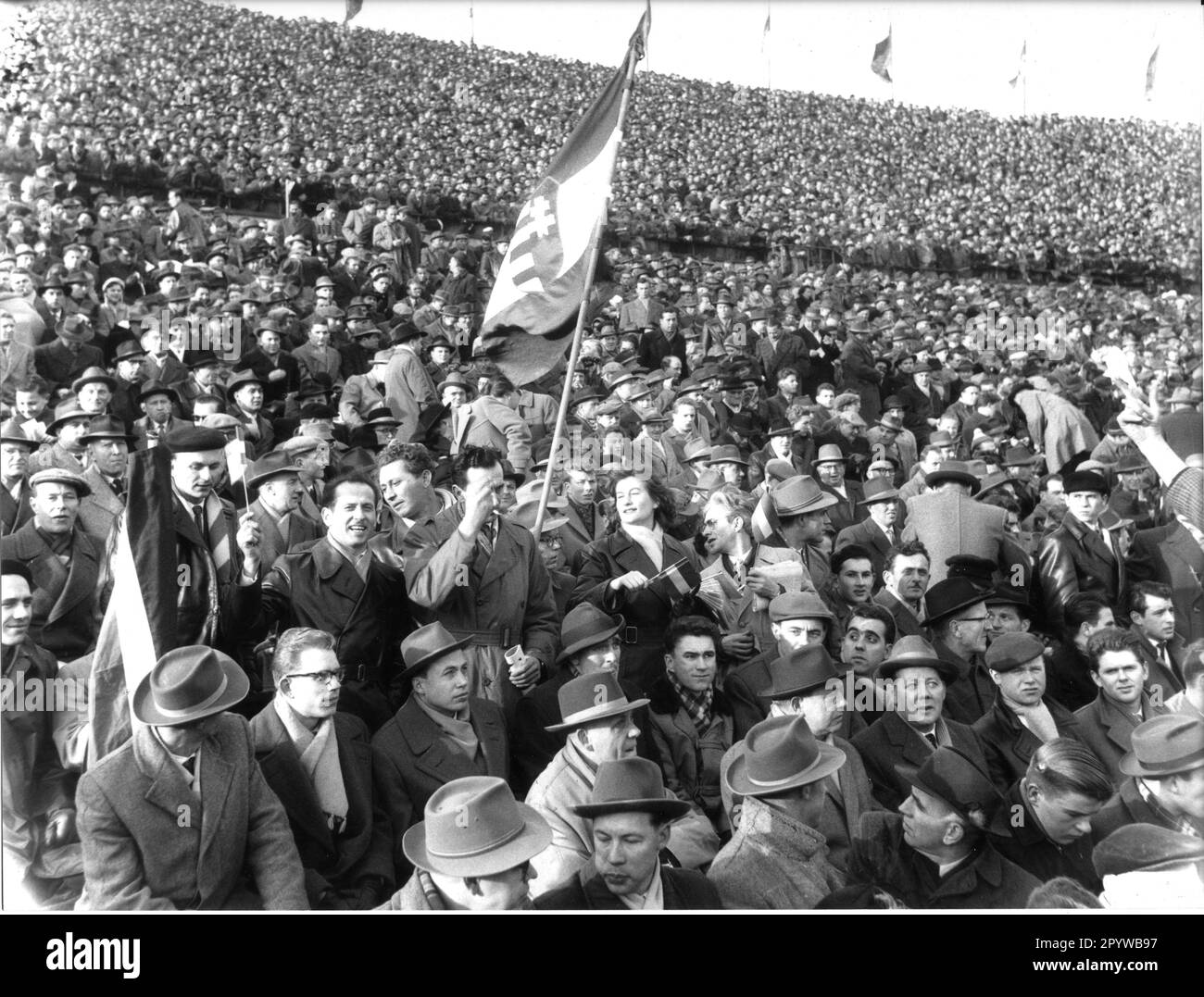 Guarda il blocco fan ungherese alla partita Germania - Ungheria su 22.12.1957 ad Hannover. Solo per uso giornalistico! Solo per uso editoriale! [traduzione automatica] Foto Stock