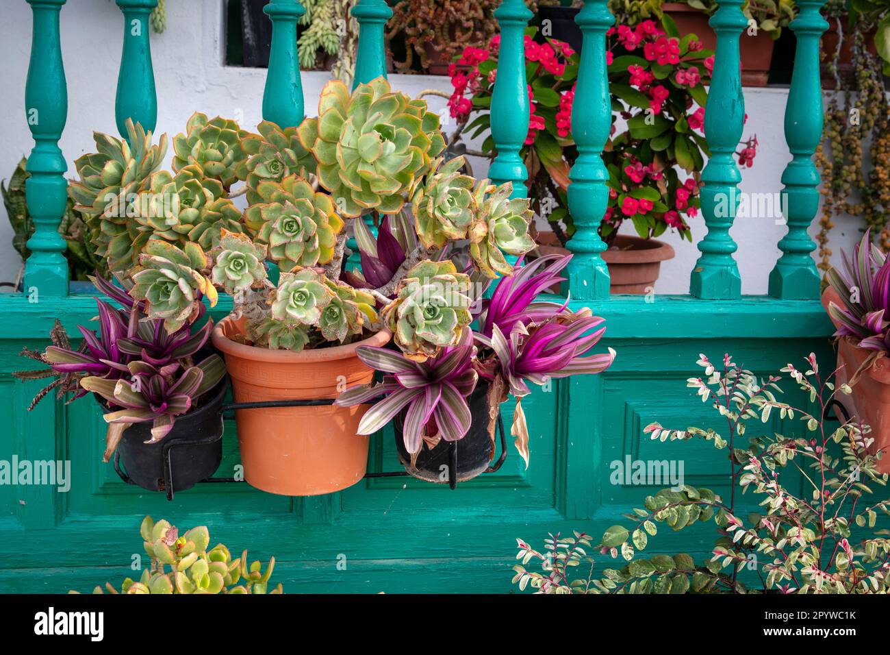 Spagna, Isole Canarie, Lanzarote, Punta Mujeres. Casa decorata. Piante succulente. Foto Stock