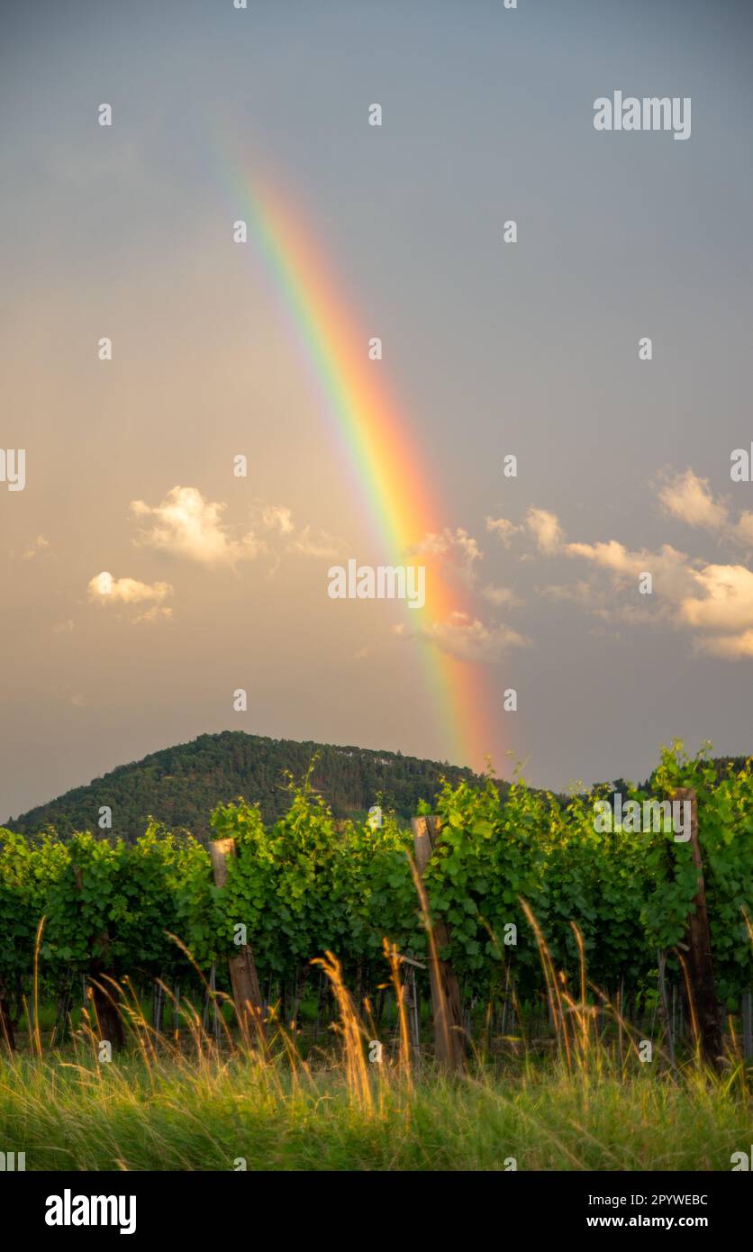 Spettro di colore in orizzontale idilliaco Foto Stock