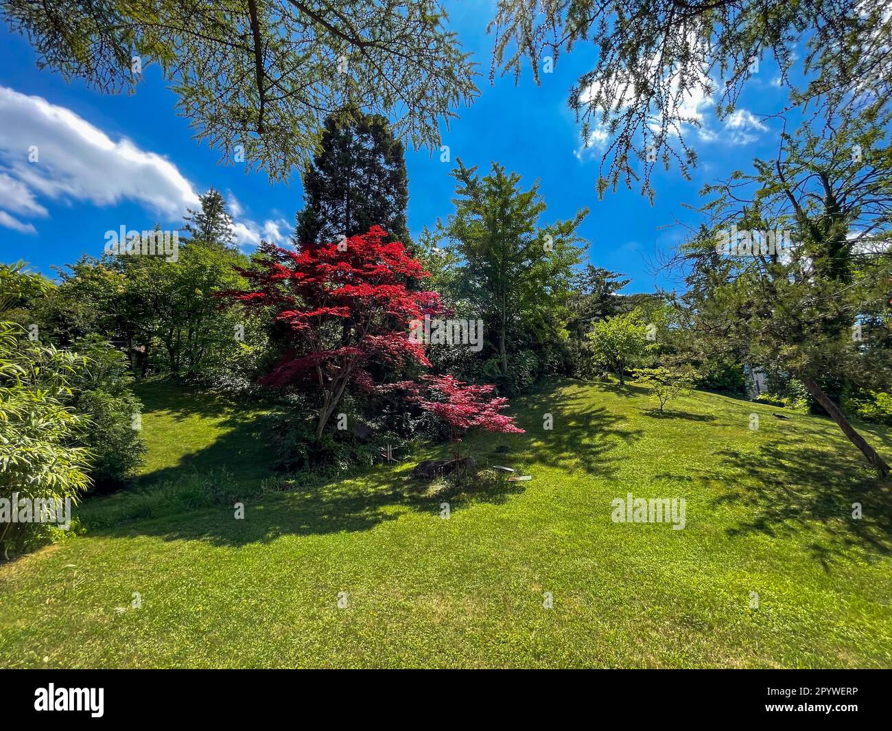 Calma giorno di bellezza nel Giardino della natura. Foto Stock