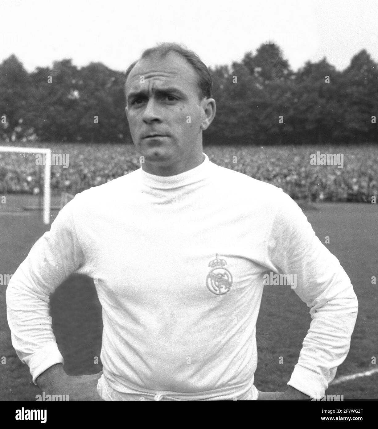 Partita internazionale amichevole: 1st FC Colonia - Real Madrid 4:5/13.08.1960. Ritratto di Alfred di Stefano (Real Madrid). Solo per uso giornalistico! Solo per uso editoriale! [traduzione automatica] Foto Stock