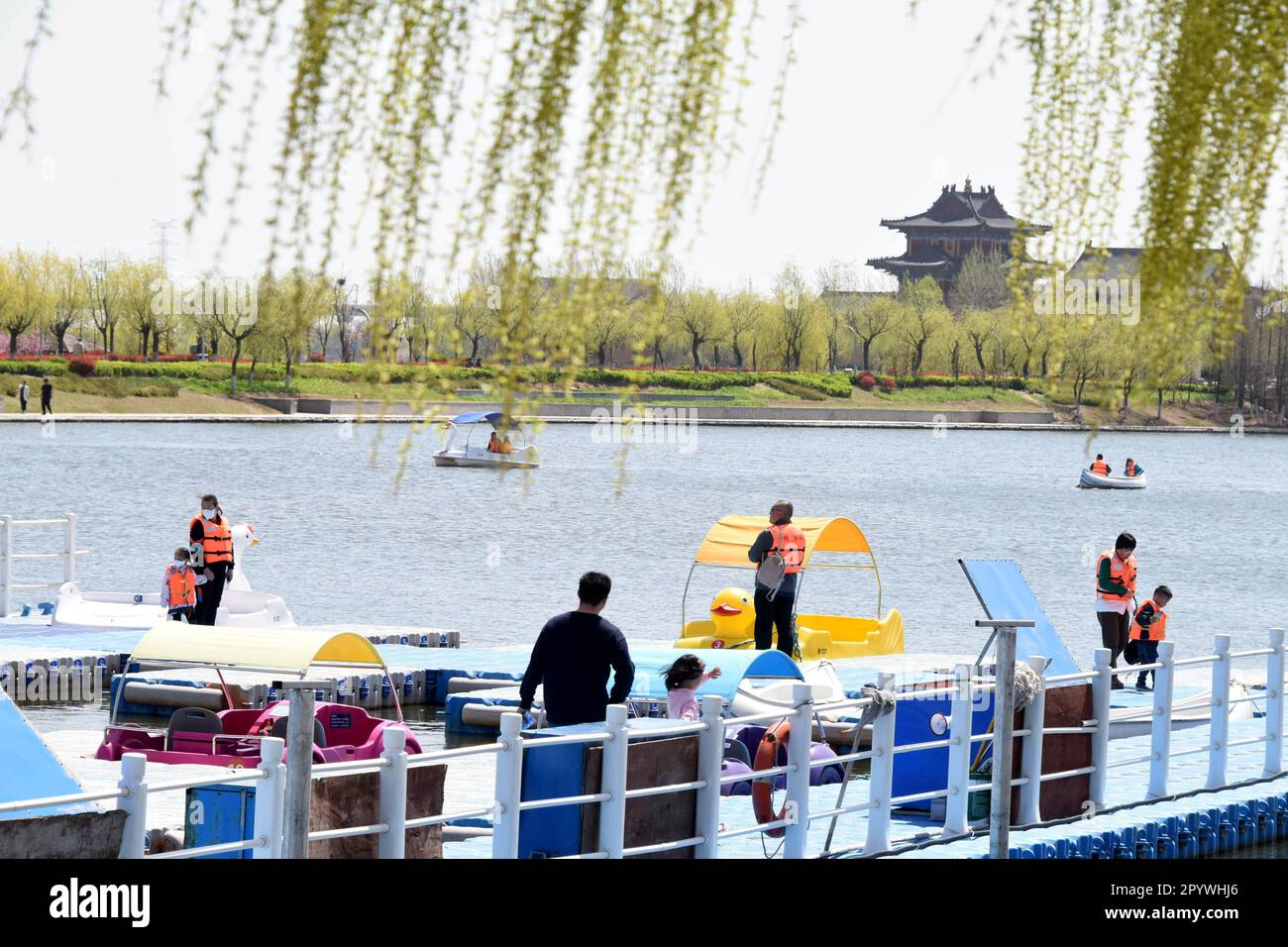 (230505) -- QINGDAO, 5 maggio 2023 (Xinhua) -- i turisti si divertono in un parco a Qingdao, provincia di Shandong, Cina orientale, 8 aprile 2023. ANDARE CON "attraverso la Cina: Quattro decenni di protezione dell'ecosistema della baia della Cina orientale ripagano" (Xinhua/li Ziheng) Foto Stock