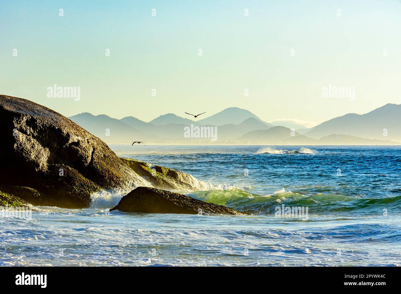 Gabbiano che vola all'alba sopra il mare e le rocce di Ipanema a Rio de Janeiro, Ipanema, Rio de Janeiro, Rio de Janeiro, Brasile Foto Stock