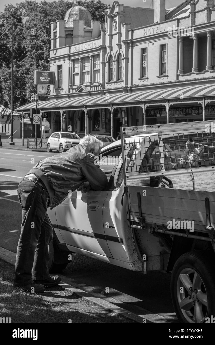 Un uomo si appoggia al finestrino di un'auto per fare una chiacchierata con un compagno, Camperdown, Victoria, Australia Foto Stock
