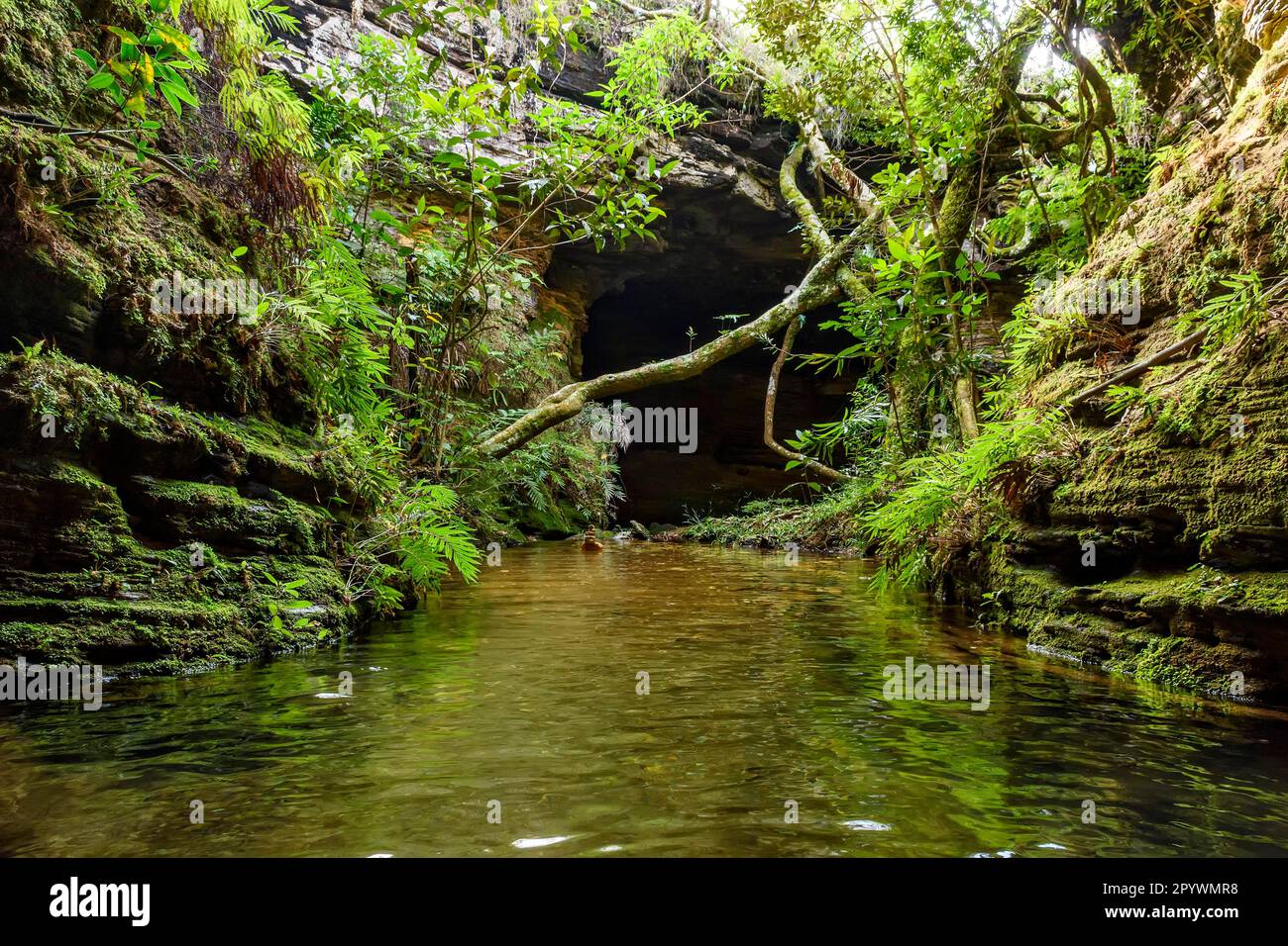 Fiume che scorre tranquillamente all'interno di una grotta con un'apertura attraverso la quale entra la luce e la vegetazione lussureggiante della foresta pluviale nella città di Carrancas Foto Stock