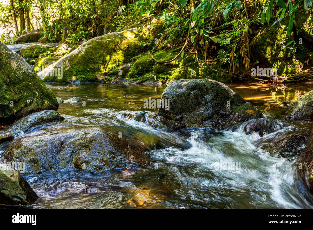 Ruscello che scorre attraverso le rocce e la vegetazione della foresta pluviale in Itatiaia, nello stato di Rio de Janeiro, Brasile Foto Stock Ruscello che scorre attraverso le rocce e la vegetazione della foresta pluviale in Itatiaia, nello stato di Rio de Janeiro, Brasile Foto Stock