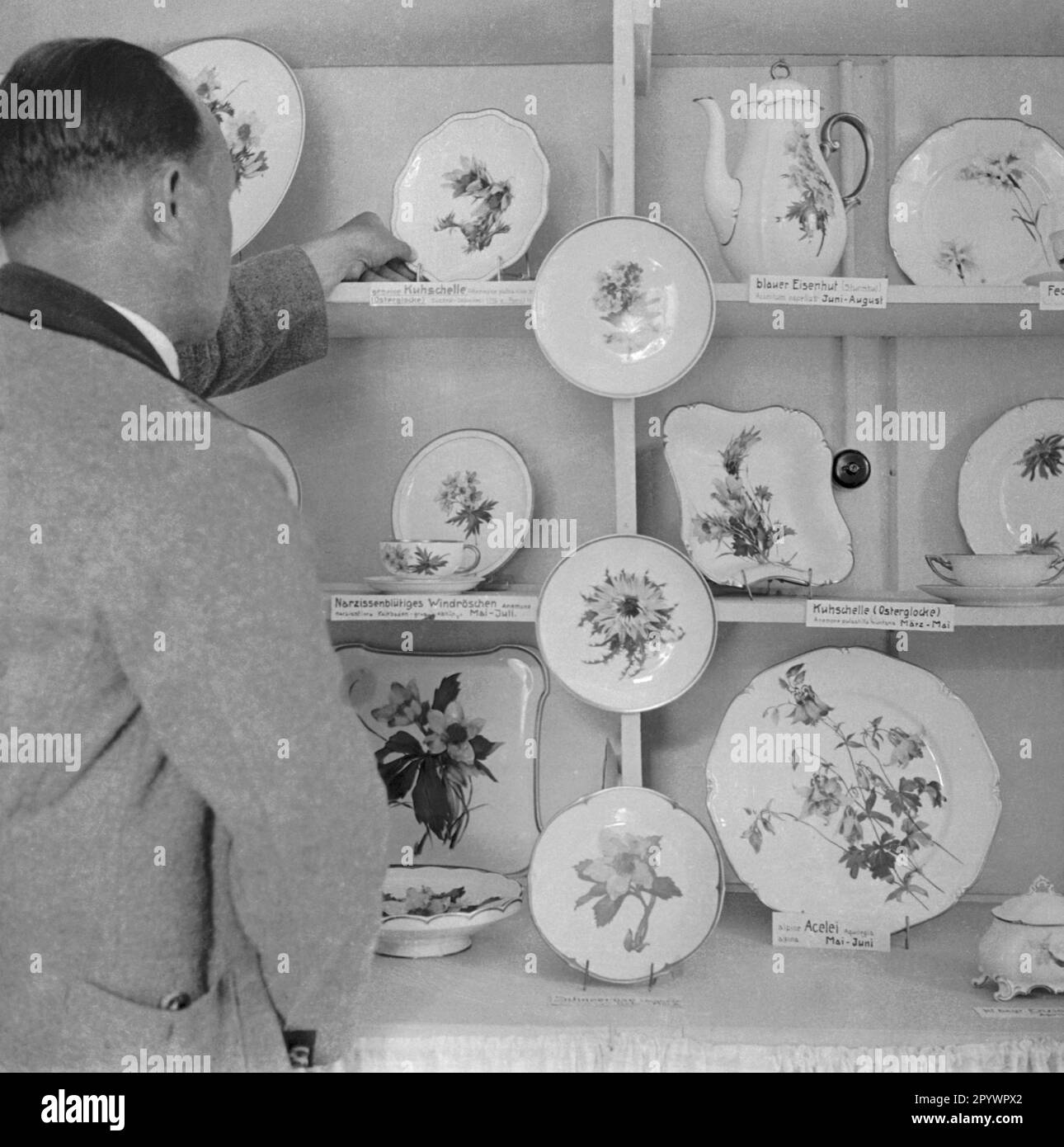 Un uomo guarda la porcellana esposta in Haus Immergruen. Sui piatti sono fiori selvatici. Foto non datata intorno al 1935. Foto Stock
