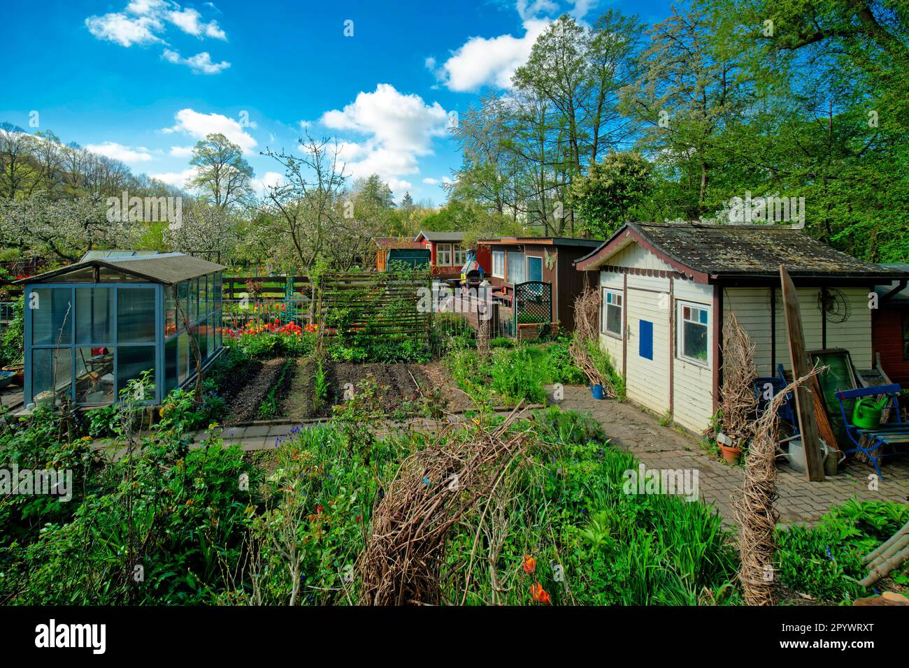 Giardino di assegnazione, giardino naturale, Lipsia-Plagwitz, Lipsia, Sassonia, Germania Foto Stock