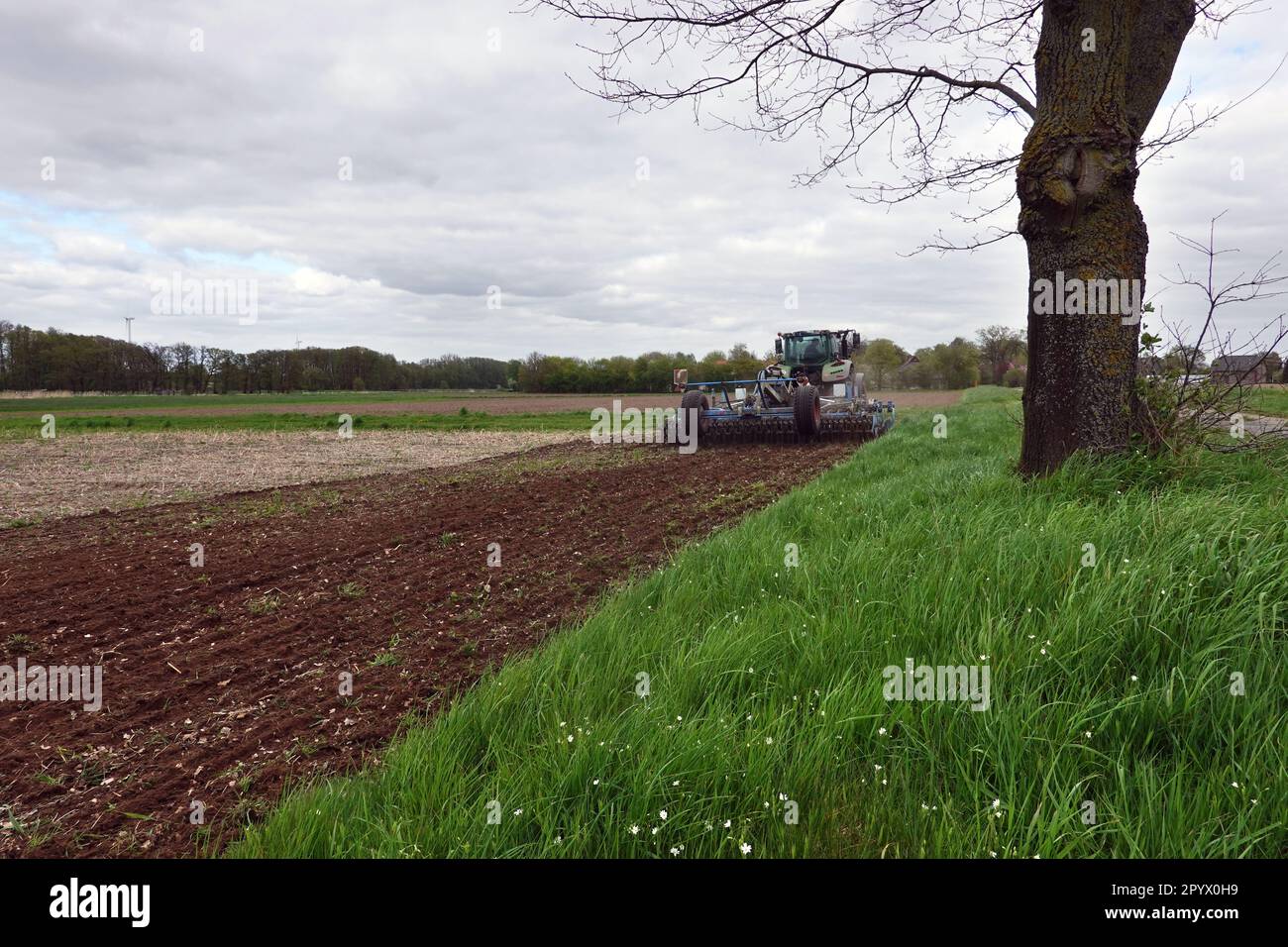 Landwirt bearbeitet ein Feld mit einer Scheibenegge, Niedersachsen, Deutschland, Oetzen Foto Stock