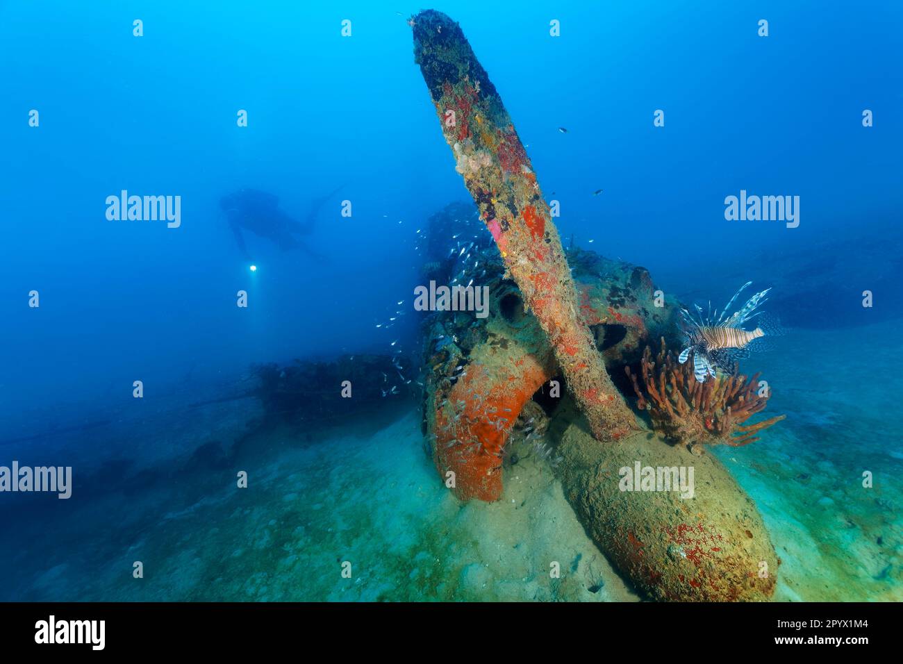 Diver esplora il giapponese Nakajima Ki-43 Hayabusa, relitto aereo, relitto, aereo, combattente, Combattente, fondale sabbioso jm, seconda guerra mondiale, elica Foto Stock