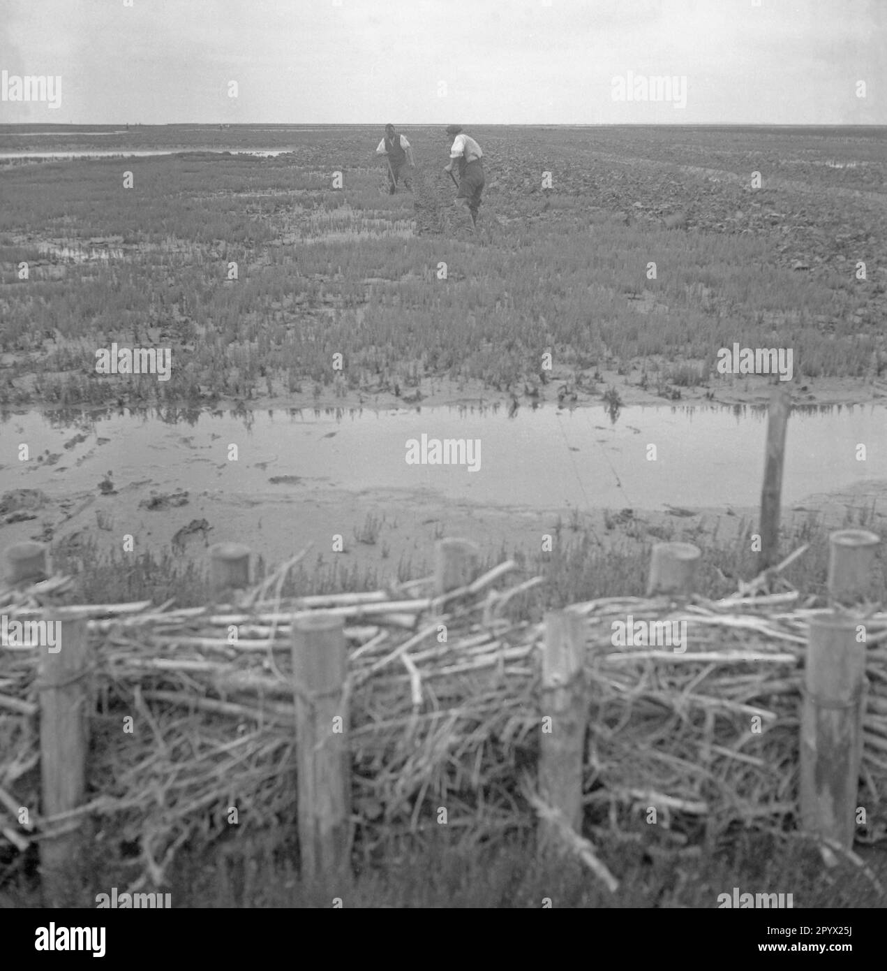 Due uomini al lavoro in mud flats. Foto non datata, probabilmente nel 1934. [traduzione automatica] Foto Stock