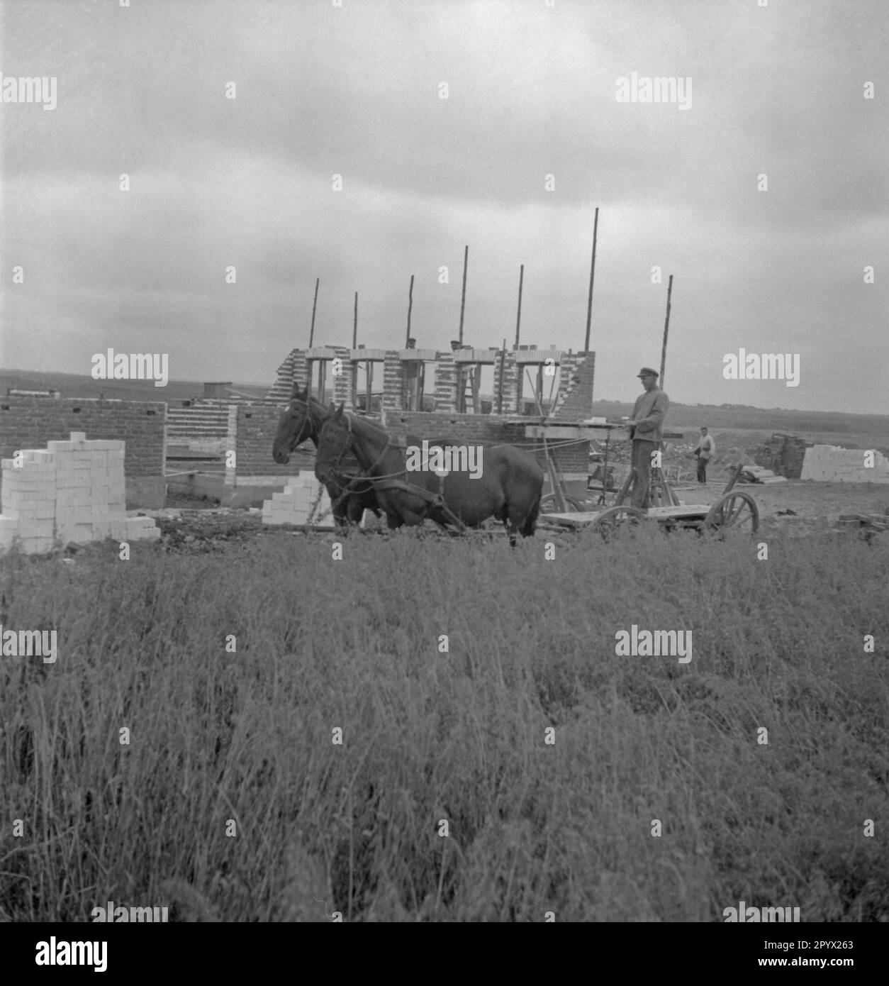 Carro trainato da cavalli sull'Adolf Hitler Koog, sullo sfondo si sta costruendo una casa. Foto non datata, probabilmente nel 1934. [traduzione automatica] Foto Stock