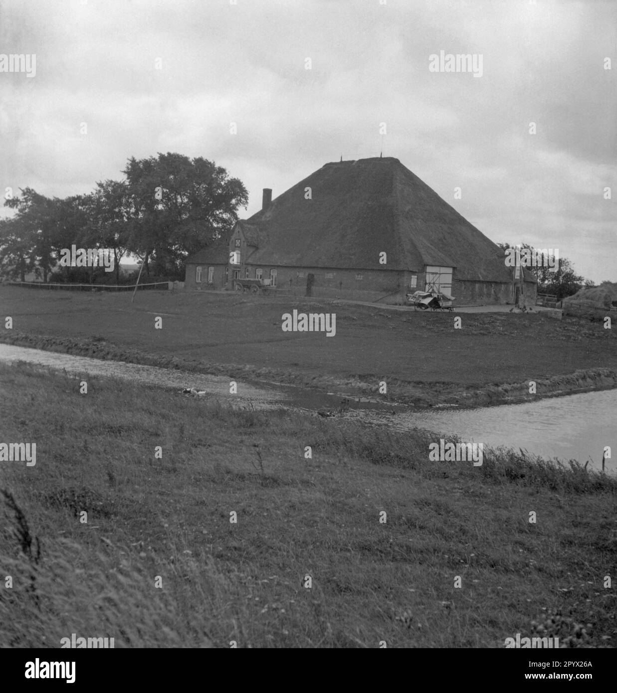 Fattoria sul Koog Adolf Hitler. Foto non datata, probabilmente nel 1934. [traduzione automatica] Foto Stock