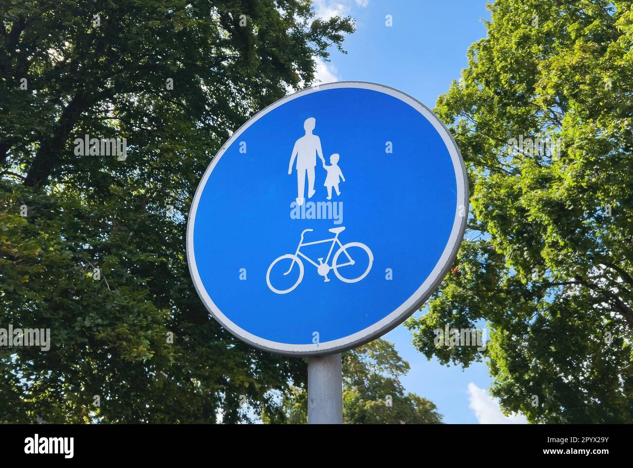 Un cartello stradale blu con una bicicletta e persone che camminano con alberi verdi sullo sfondo Foto Stock