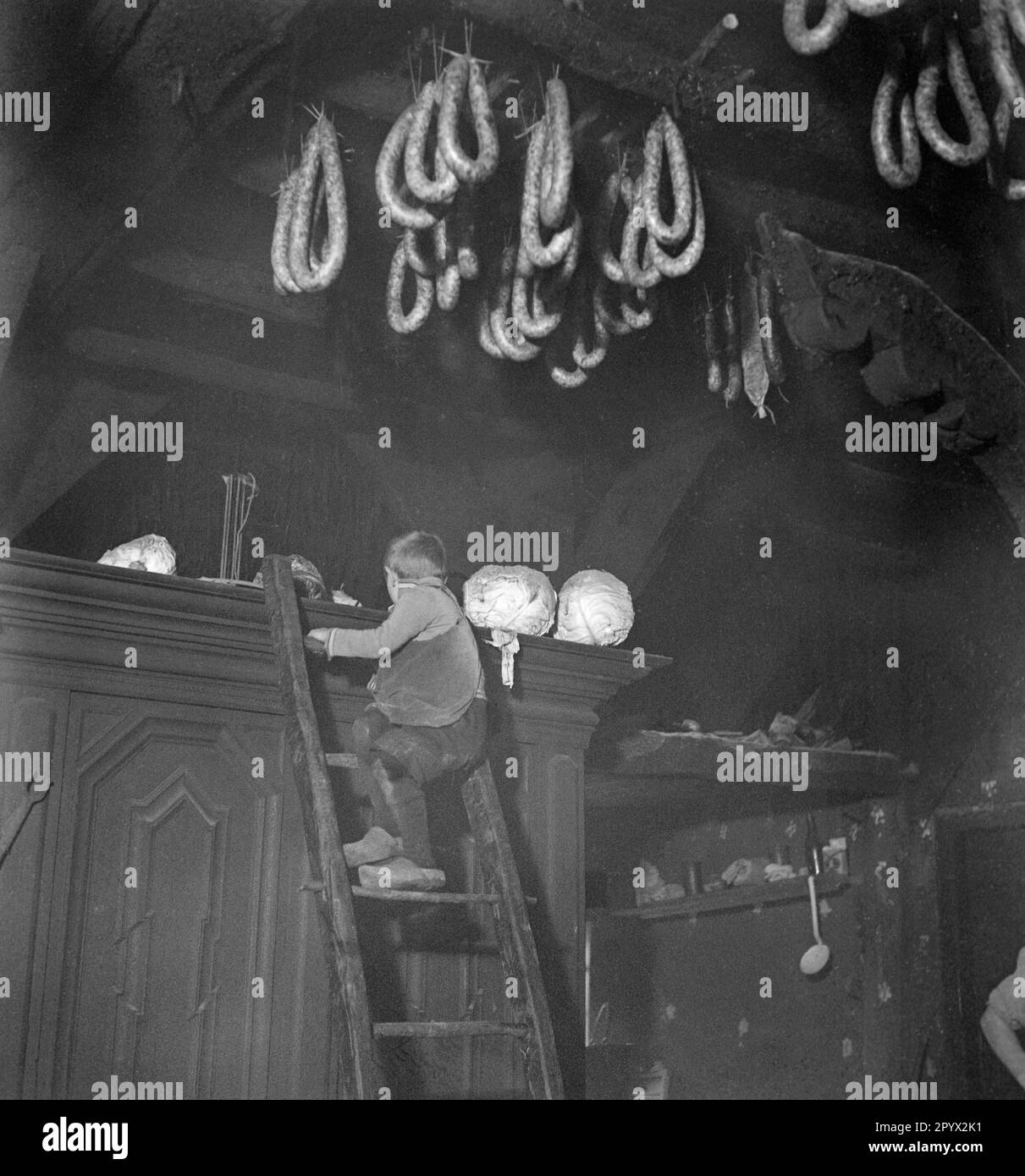 Locanda a Zetel (Frisia): Un ragazzo sale su una scala per arrivare alle forniture. Il carbone è sdraiato sulla credenza, le salsicce sono appese al soffitto. Fotografia non datata, probabilmente scattata negli anni '1930s. [traduzione automatica] Foto Stock