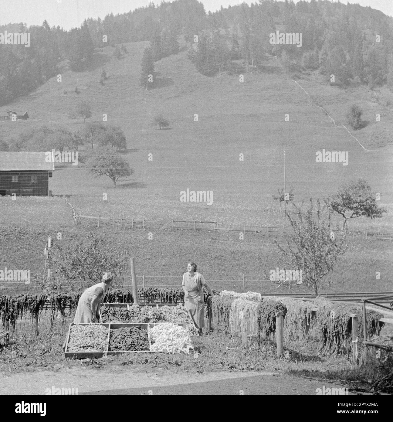 Due donne stanno asciugando il filato tinto. Sullo sfondo, le colline alpine di Allgaeu. Foto Stock