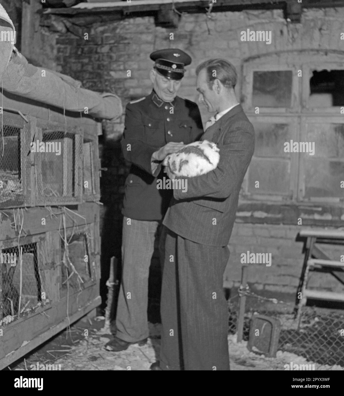 Foto non datata di un uomo anziano (in uniforme della Deutsche Reichsbahn con un coniglio in braccio) con suo figlio di fronte ad un hutch di coniglio in un cortile berlinese, presumibilmente Berlino Ovest, nell'inverno del 1950. Foto Stock
