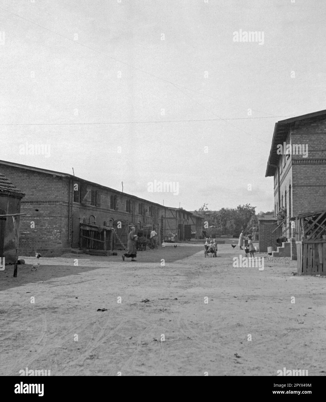 Foto degli edifici agricoli di Gut Osdorf a sud di Berlino nell'estate del 1933. Qui, agricoltori, bambini, pollo e oche. Foto Stock