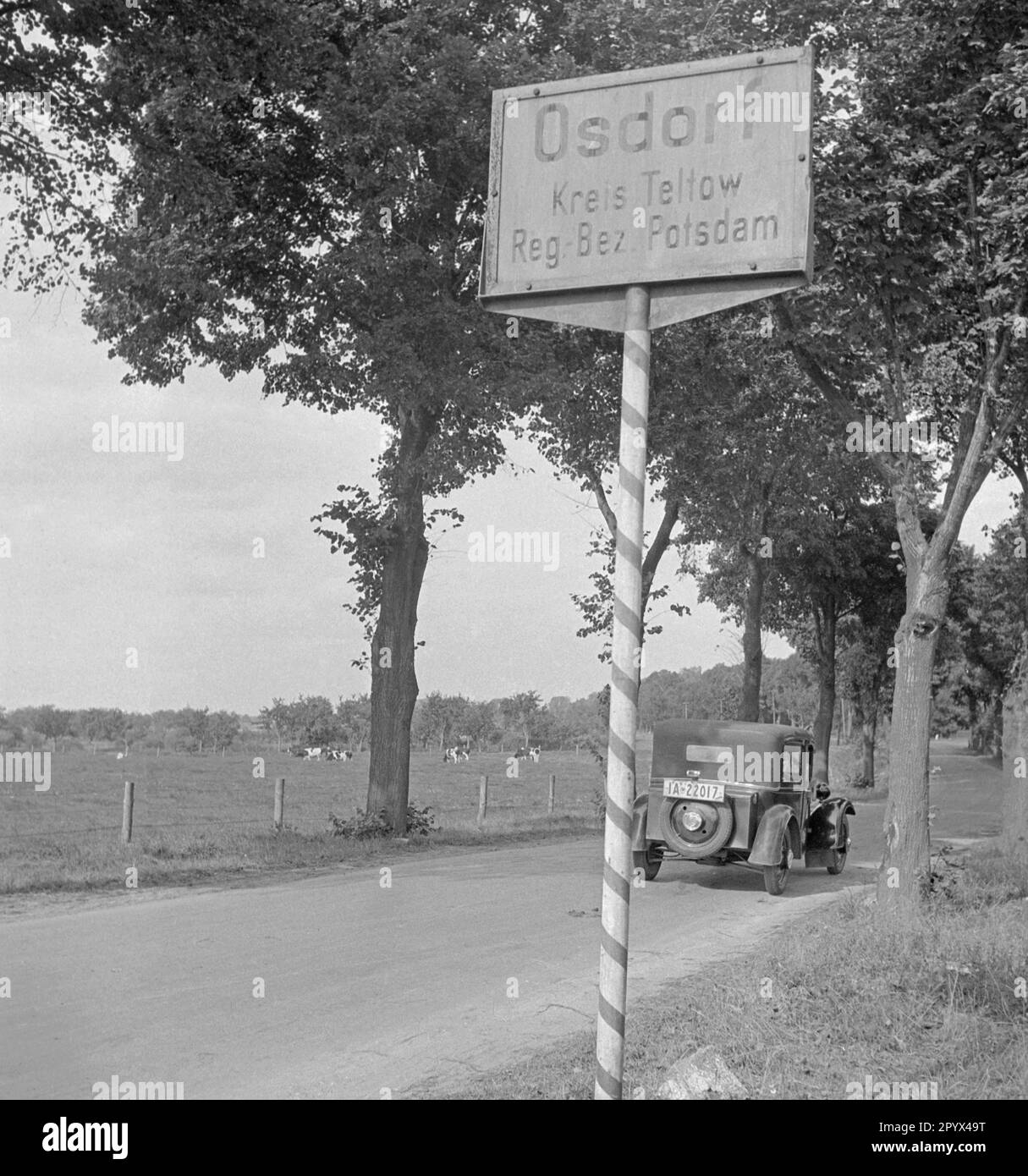 Foto dell'insegna del limite della città di Osdorf, quartiere di Teltow, nel quartiere amministrativo di Potsdam, Brandeburgo su un vicolo (Chaussee) nell'estate del 1933. Un'auto supera il segno. Nel pascolo sullo sfondo, le mucche pascolano (bovini neri tedeschi). Foto Stock