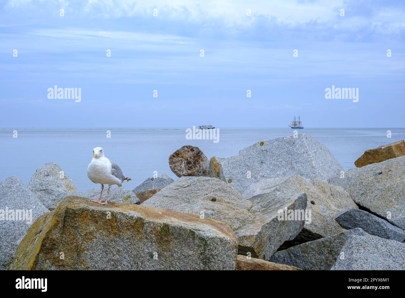 Scena marittima nel porto cittadino di Sassnitz, Meclemburgo-Pomerania occidentale, Rugen Island, Germania, Europa. Foto Stock