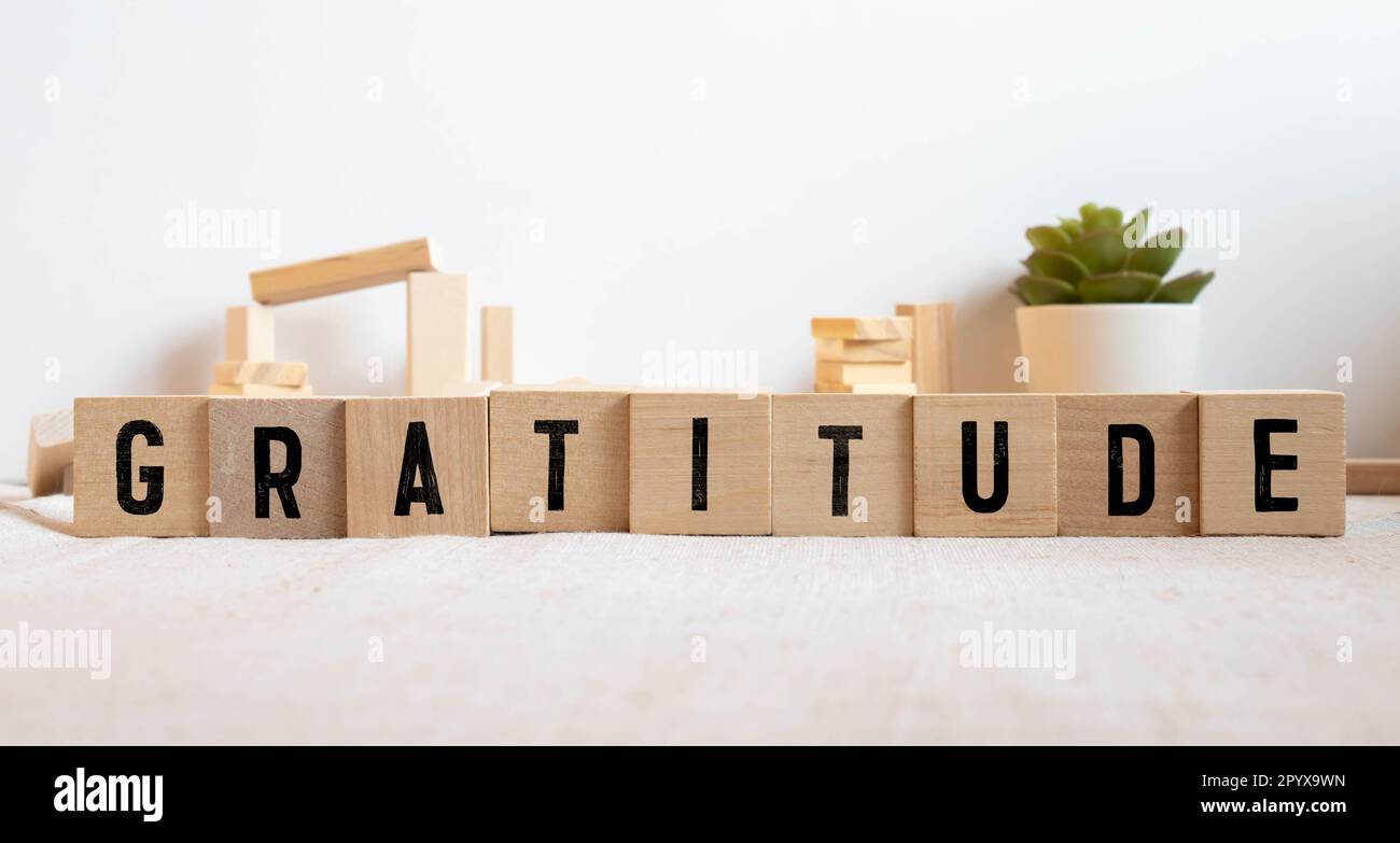 Gratitudine - concetto di parola sui blocchi di costruzione. Foto Stock
