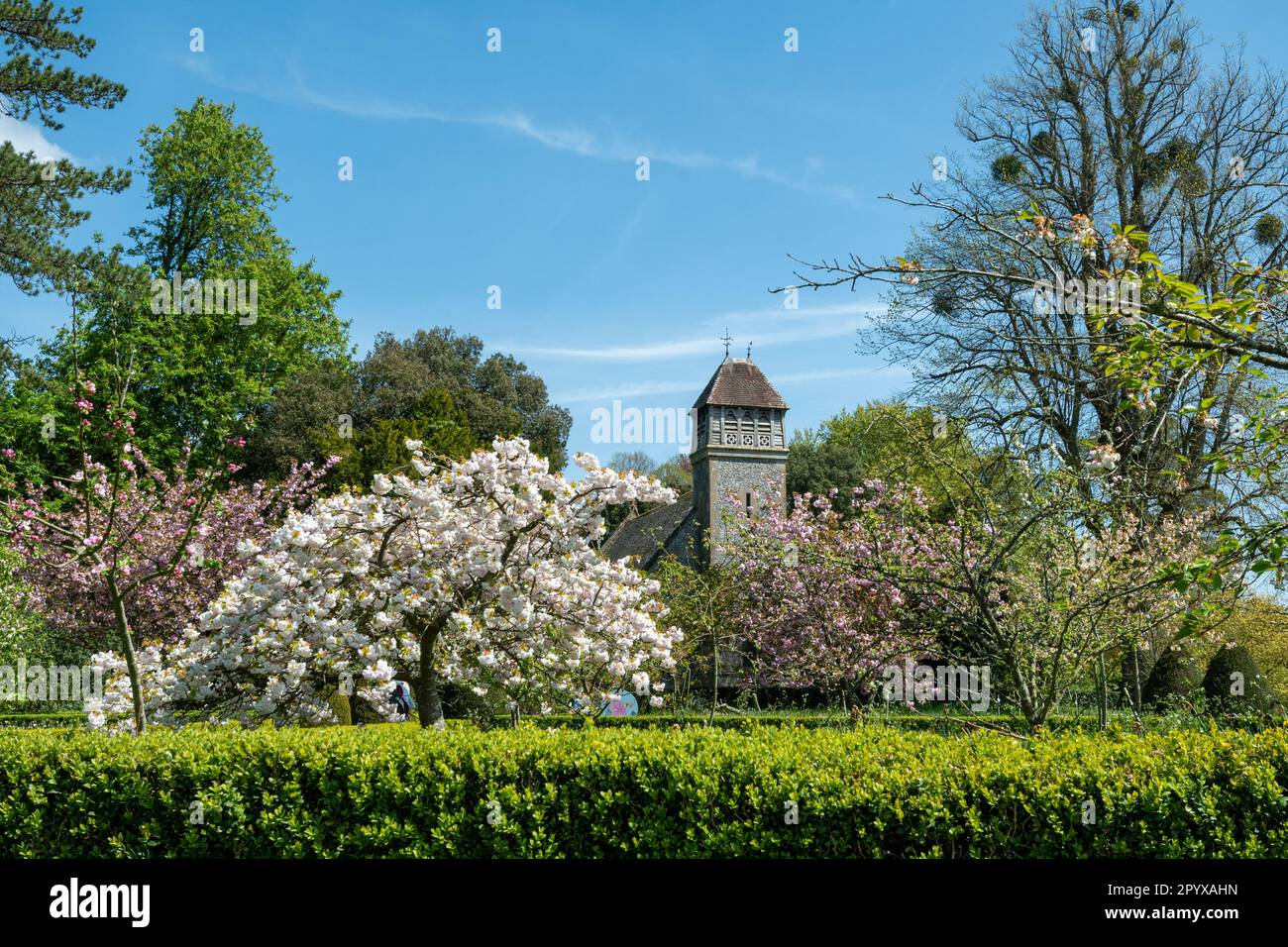 All Saints Church, Hinton Ampner, Hampshire, Inghilterra, Regno Unito, durante la primavera Foto Stock