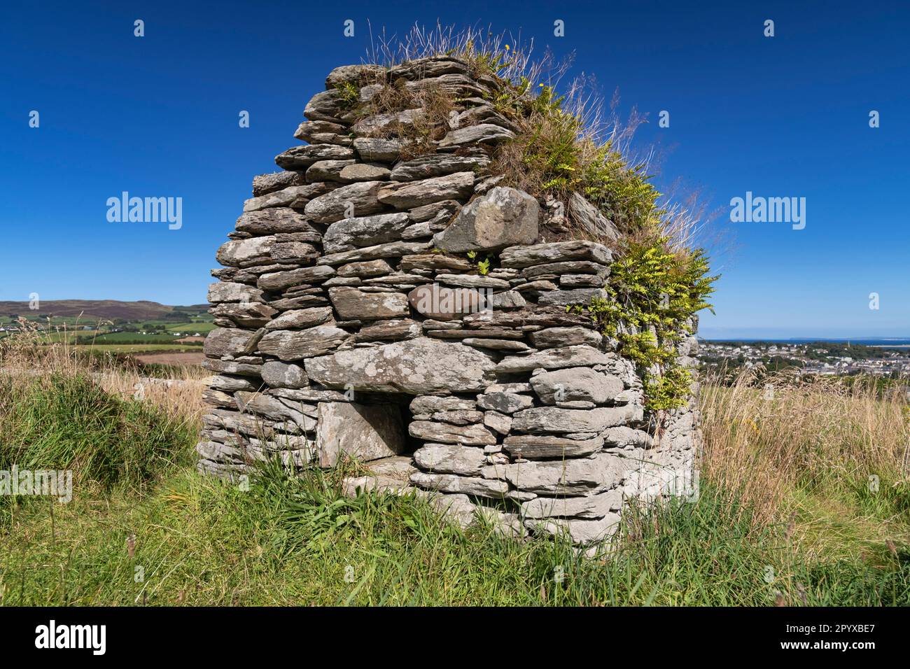 Irlanda, Contea di Donegal, penisola di Inishowen, sito monastico di Moville, la Casa del cranio che potrebbe essere stato un oratorio o un'antica tomba per il santo locale Foto Stock