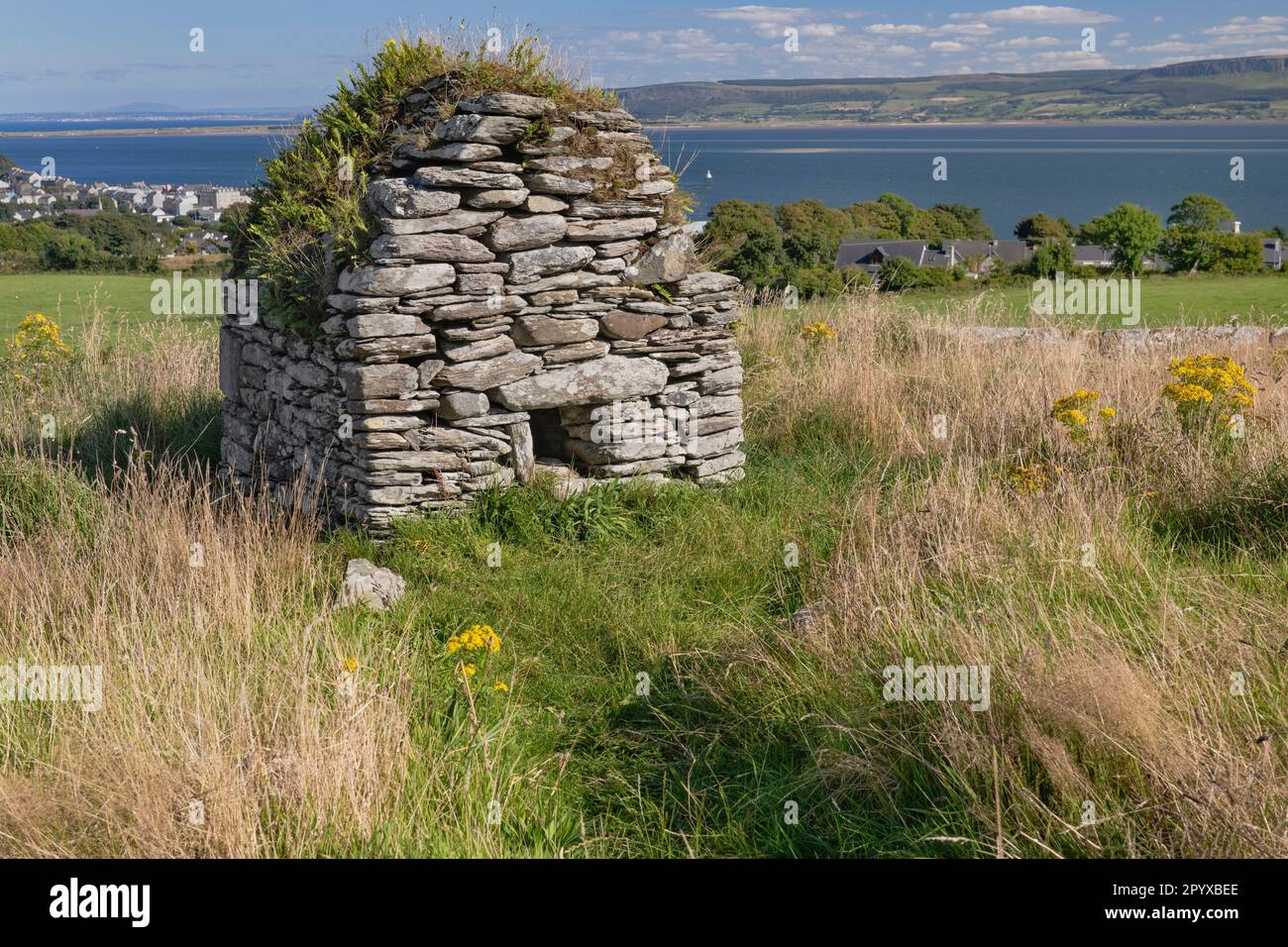 Irlanda, Contea di Donegal, penisola di Inishowen, sito monastico di Moville, la Casa del cranio che potrebbe essere stato un oratorio o un'antica tomba per il santo locale Foto Stock