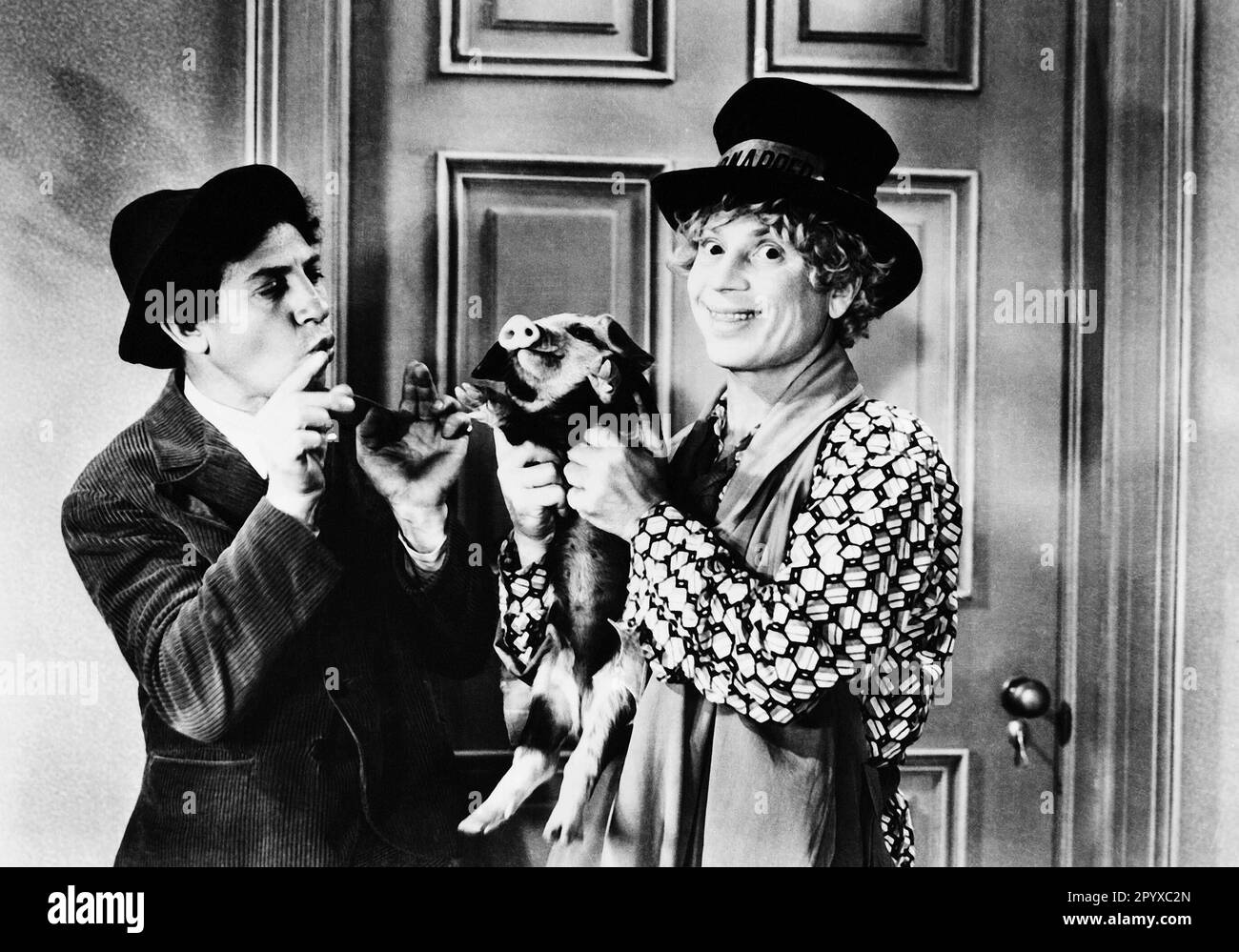 Chico Marx e Harpo Marx in 'The Marx Brothers: A Day at the Races', titolo originale: 'A Day at the Races', diretto da Sam Wood, USA 1937. [traduzione automatica] Foto Stock