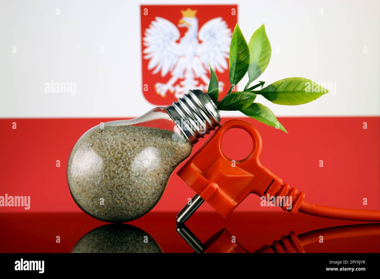 Spina, pianta che cresce all'interno della lampadina e bandiera di Polonia. Eco-verde energia rinnovabile concetto. Foto Stock