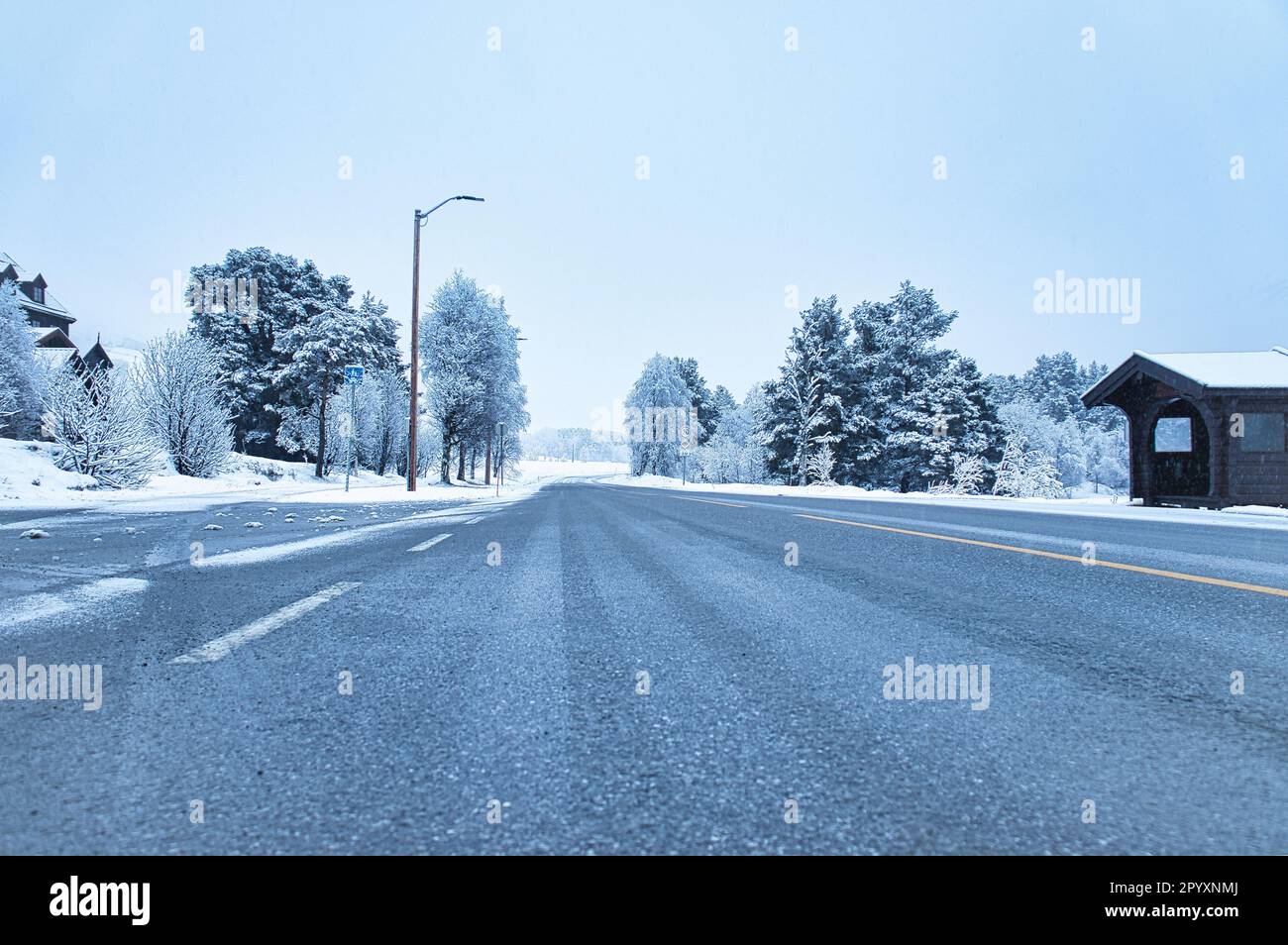 Paesaggio invernale in Scandinavia. Con alberi innevati su una strada. Foto del paesaggio da nord Foto Stock