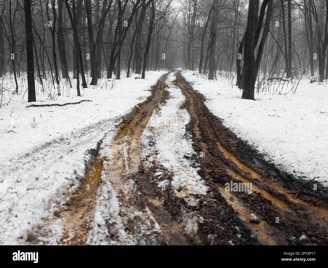 Strada fangosa estremamente sporca nella foresta. Suolo danneggiato da pneumatici auto. Percorsi auto profondi nel fango e nella neve. Foto Stock