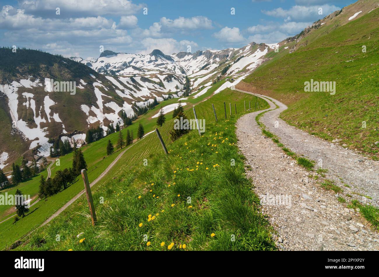 Bella strada tortuosa tra i verdi pascoli delle alpi Svizzere. Tranquillo paesaggio montano Foto Stock