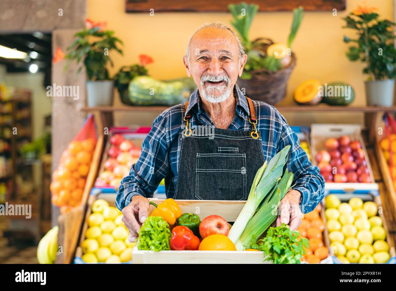 Greengrocer senior che lavora sul mercato con una scatola contenente frutta e verdura fresca - concetto di vendita al dettaglio di alimenti Foto Stock