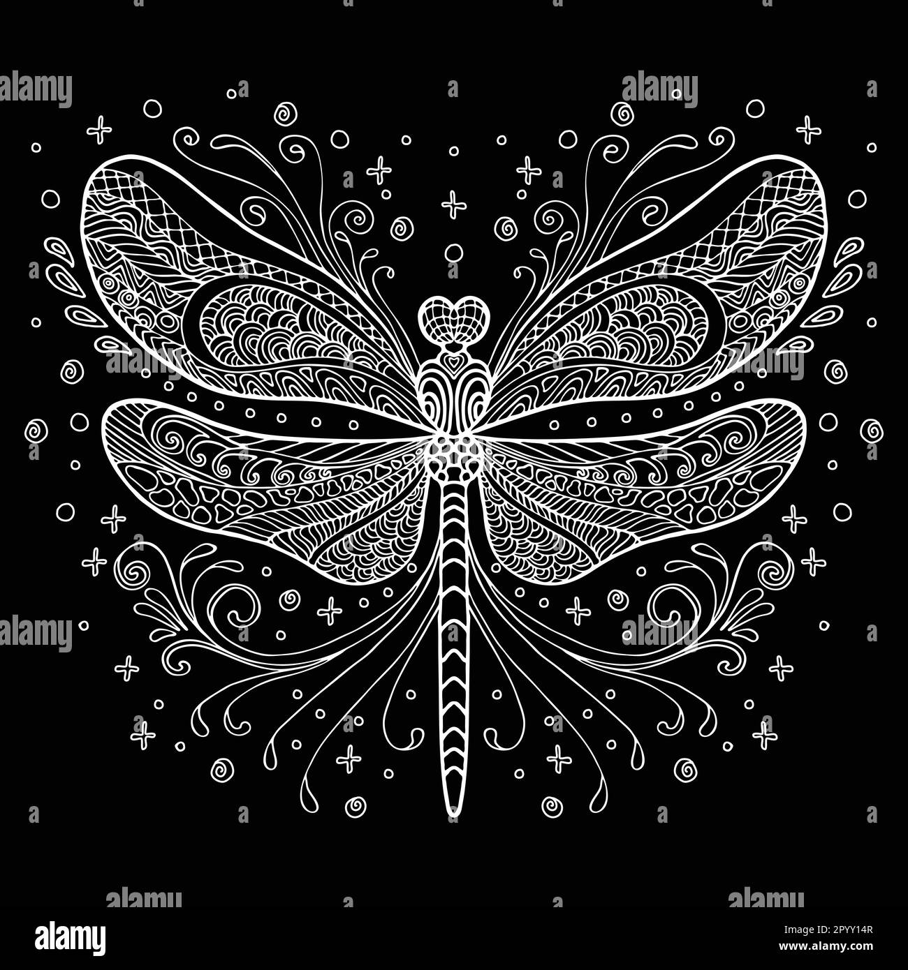 Vettore decorativo doodle dragonfly ornamentale. Illustrazione vettoriale astratta del contorno bianco della libellula isolato su sfondo nero. Illustrazione per Illustrazione Vettoriale