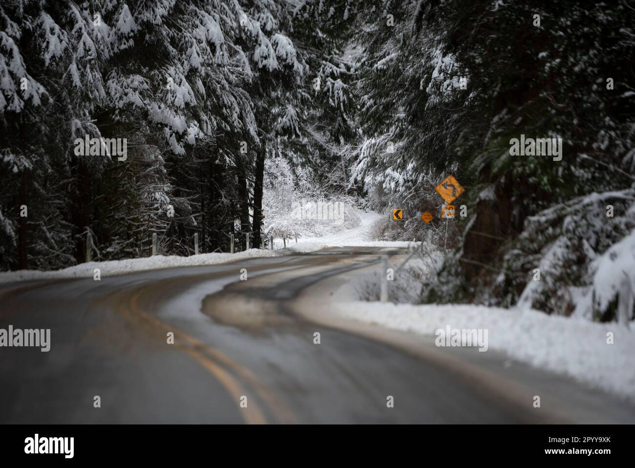 Una strada sulla strada per Port Renfrew sull'Isola di Vancouver, Canada, è innevata in dicembre. Foto Stock