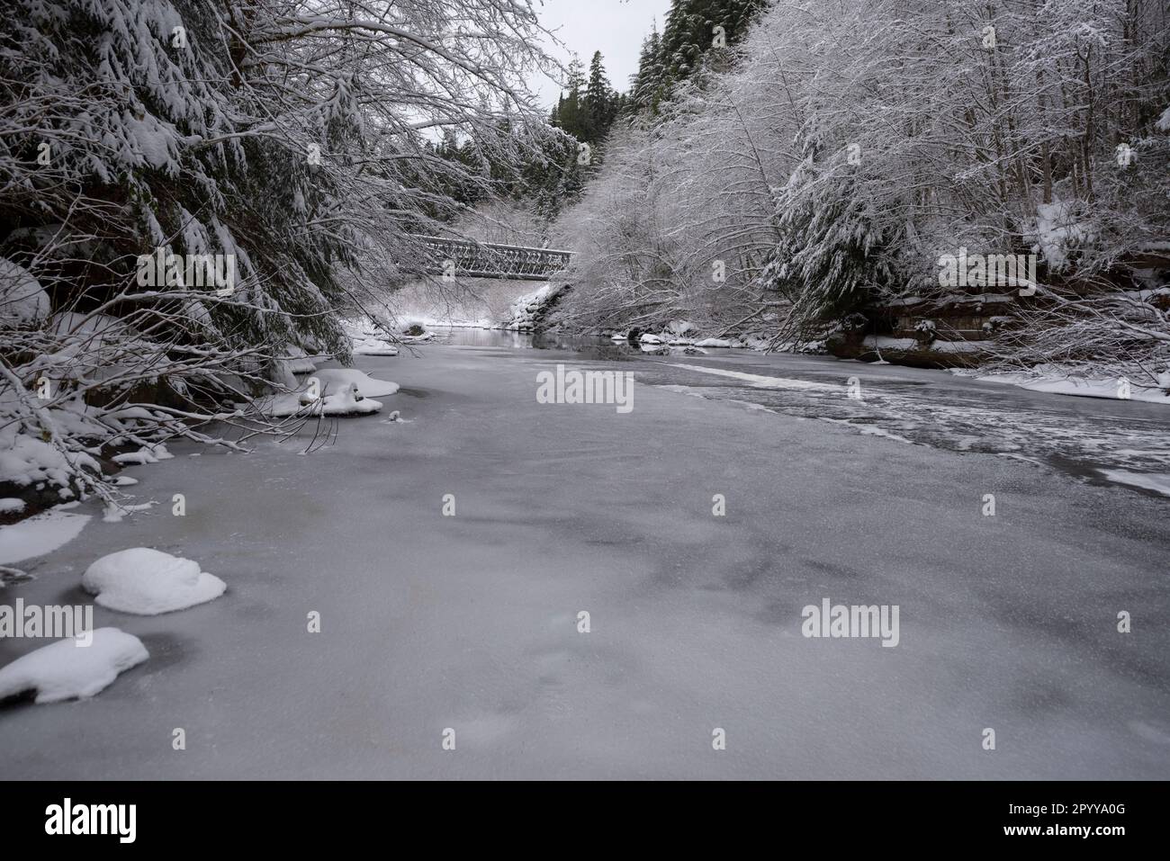 Un ponte d'acciaio attraversa il torrente Jack Elliot sulla strada per Port Renfrew, Vancouver Island, Canada in pieno metà inverno. Foto Stock