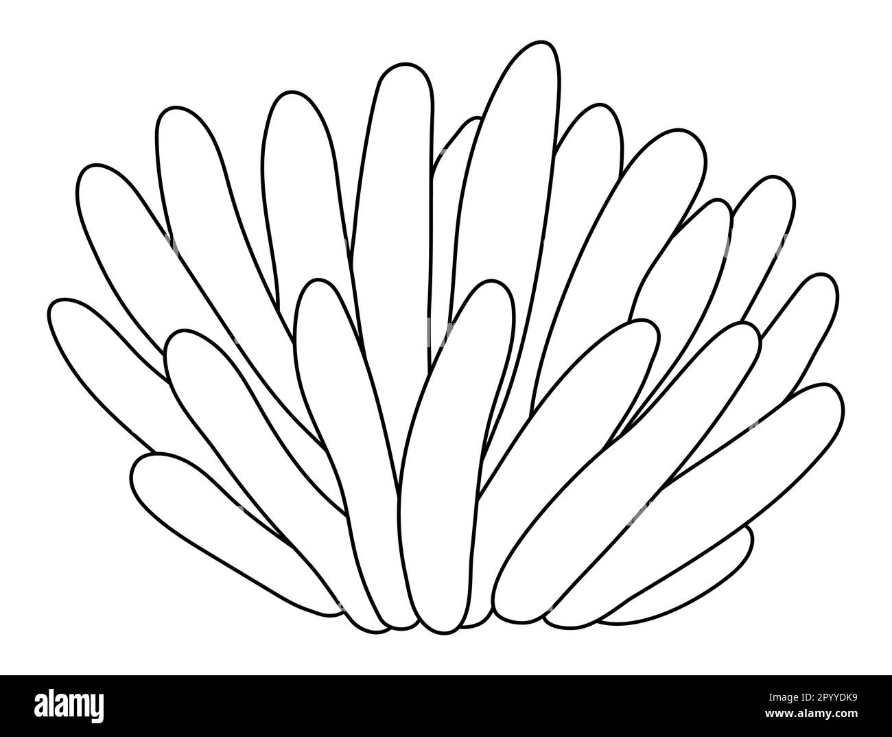 Icona vettoriale anemone mare bianco e nero. Sotto la linea del mare illustrazione con le alghe di actinia carine. Clipart pianta oceanica. Cartoni animati subacquei o marini Illustrazione Vettoriale