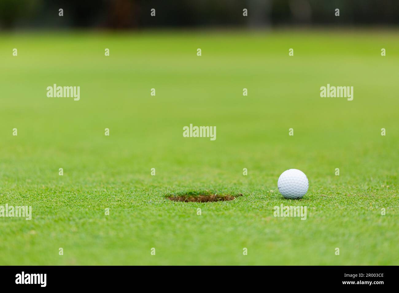 palla da golf accanto alla buca sul campo da golf con spazio copia verde il giorno di proiezione Foto Stock