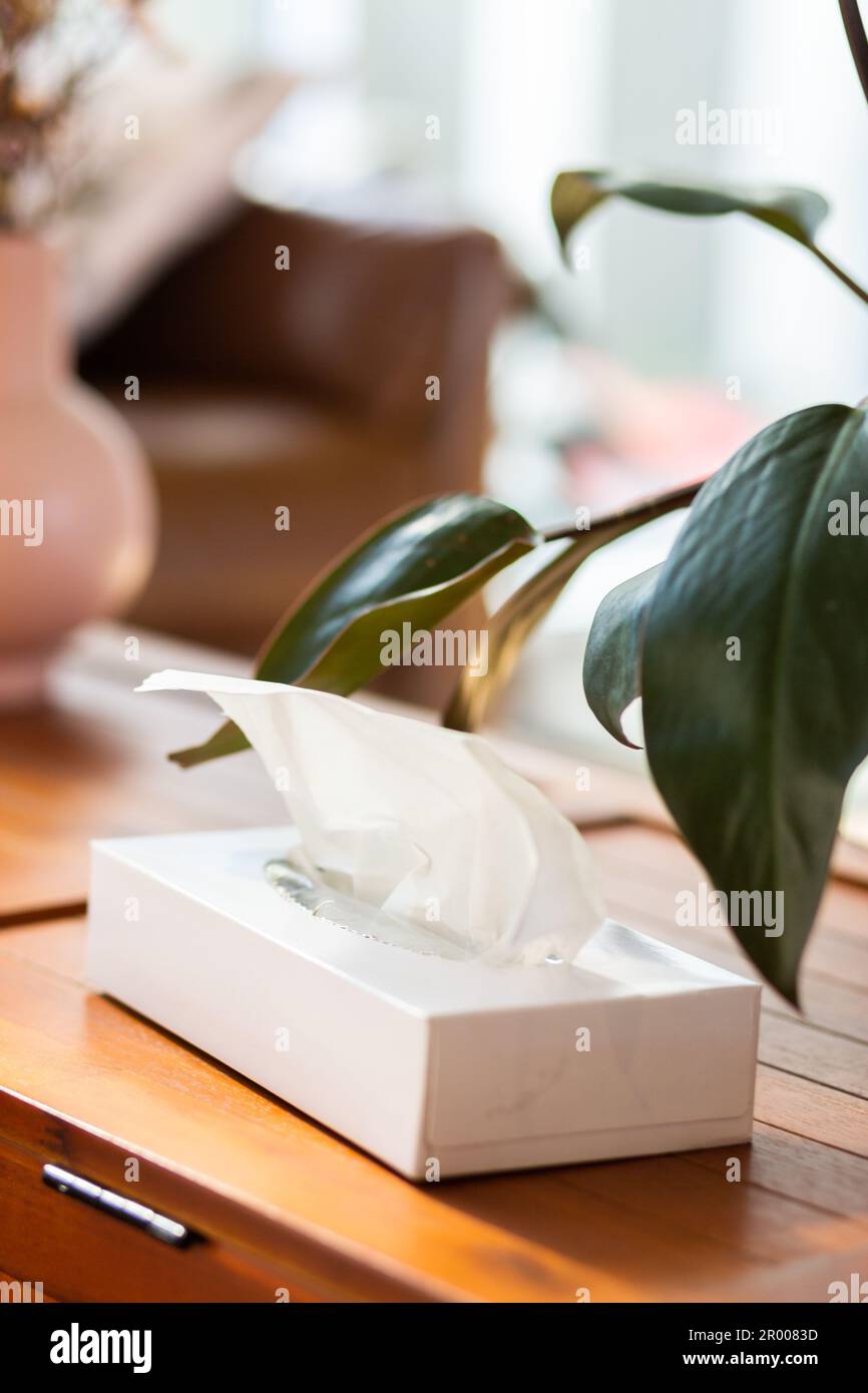 Scatola di tessuti naso accanto alla pianta sul tavolo in soggiorno di casa per soffiare naso su Foto Stock