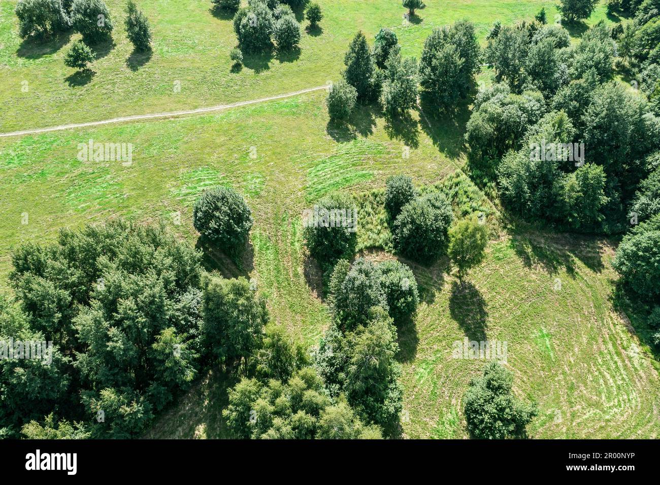paesaggio estivo con alberi su prato verde con sentiero. vista aerea dall'alto. Foto Stock