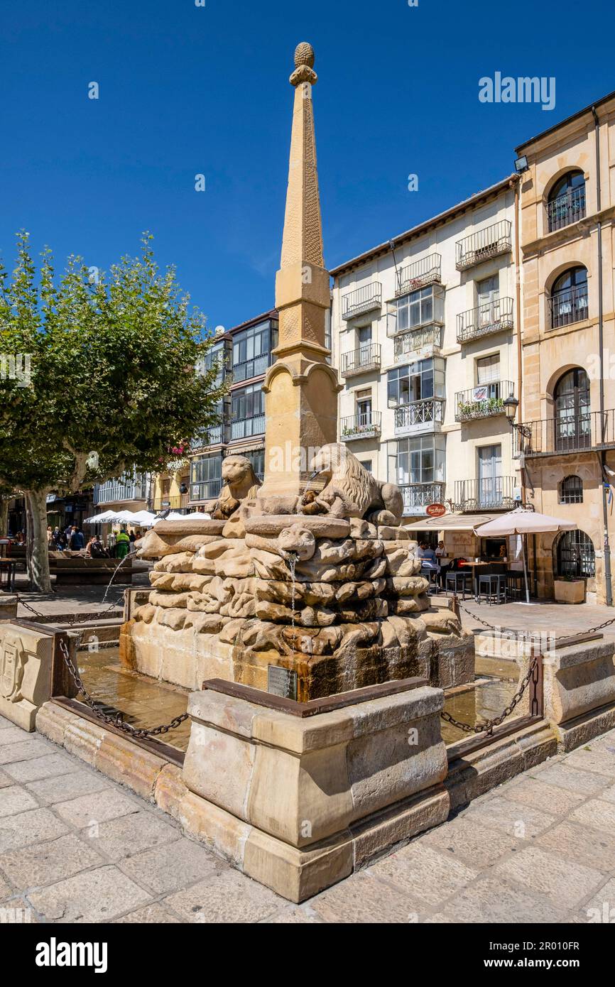 Fuente de los Leones, Fuente ornamentale del siglo XVIII, plaza Mayor, Soria, Comunidad Autónoma de Castilla, Spagna, Europa Foto Stock