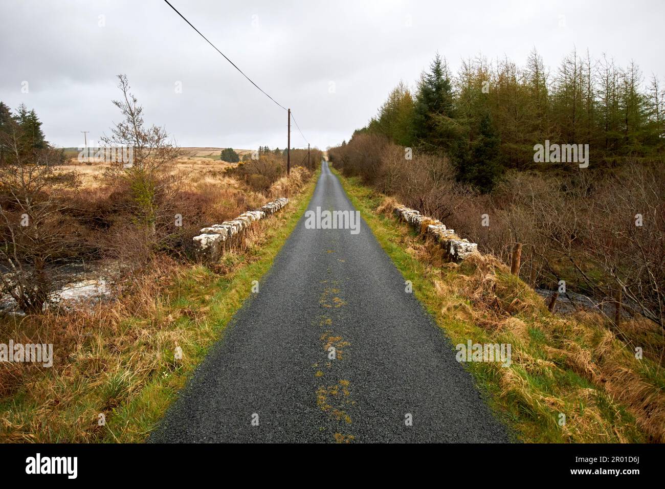 strada asfaltata asfaltata sul ponte e passato foresta nella contea rurale donegal repubblica d'irlanda Foto Stock