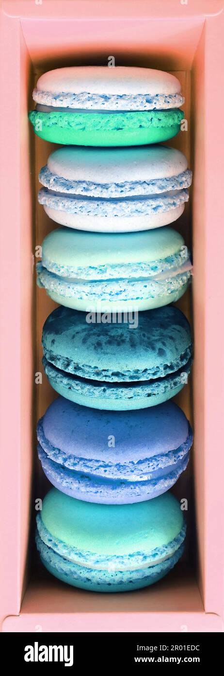 Vista dall'alto dei dolci color pastello blu e verde macaron in scatola rosa Foto Stock