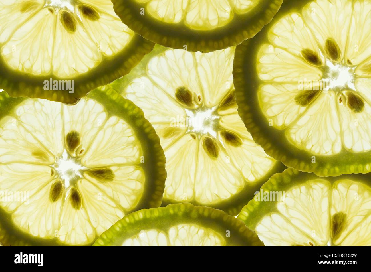 Vista microscopica di pezzi di limone selvaggio che formano uno sfondo di texture bella Foto Stock