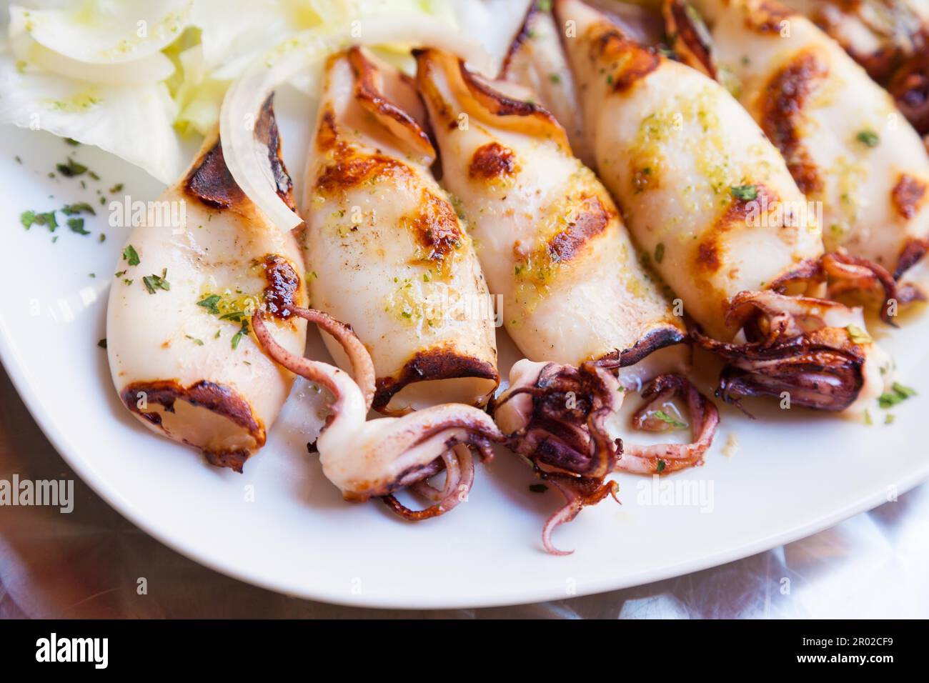 Calamari freschi serviti in un vecchio ristorante italiano (Toscana). Luce diurna Foto Stock