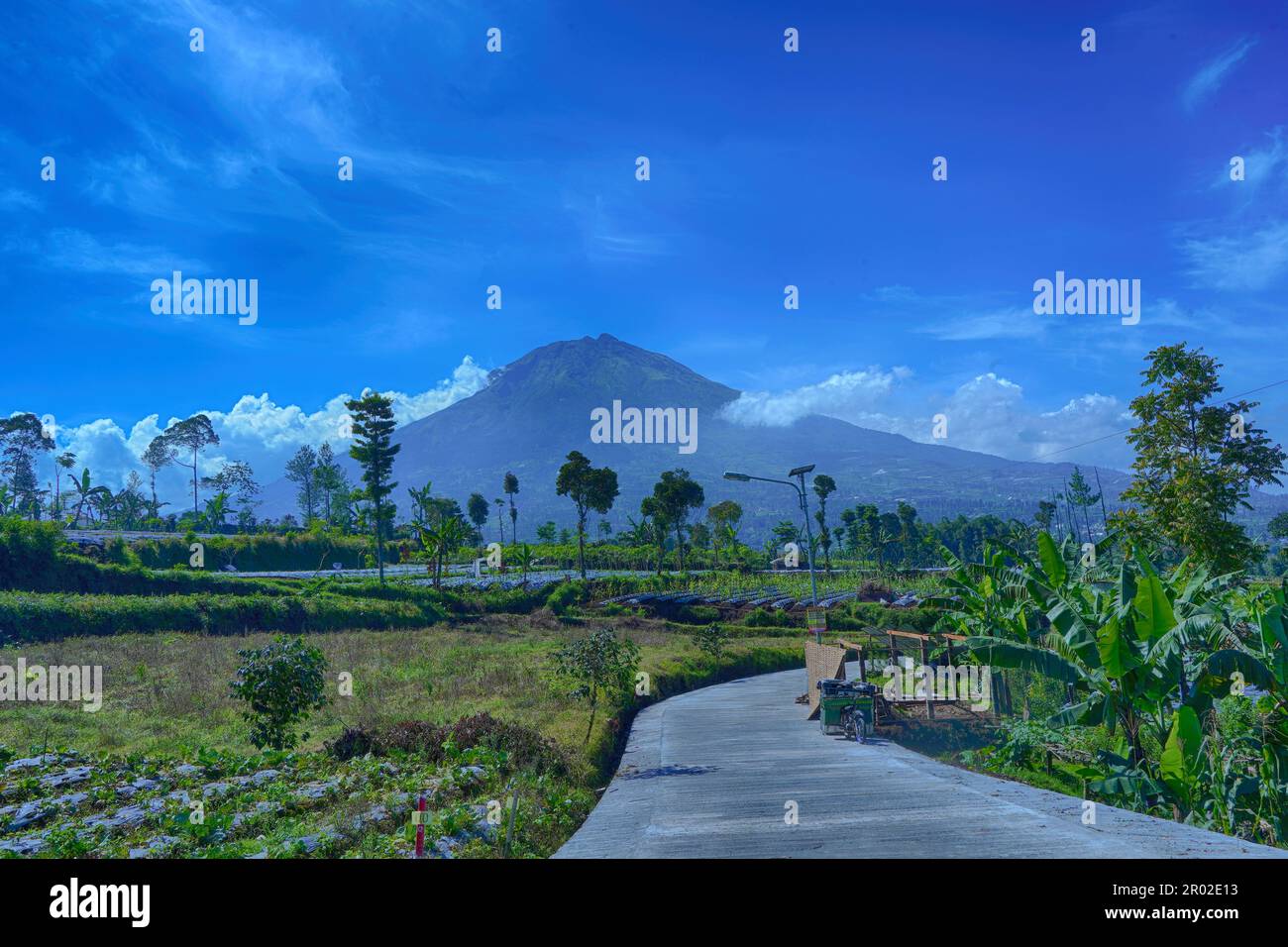 Vista del Gunung Sumbing o del Monte Sumbing con la strada e gli alberi. Temanggung, Giava Centrale, Indonesia. Fotografia di paesaggi e natura. Foto Stock